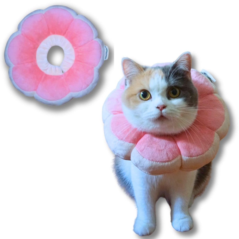 Pawcratean flower recovery collar shown from the front.