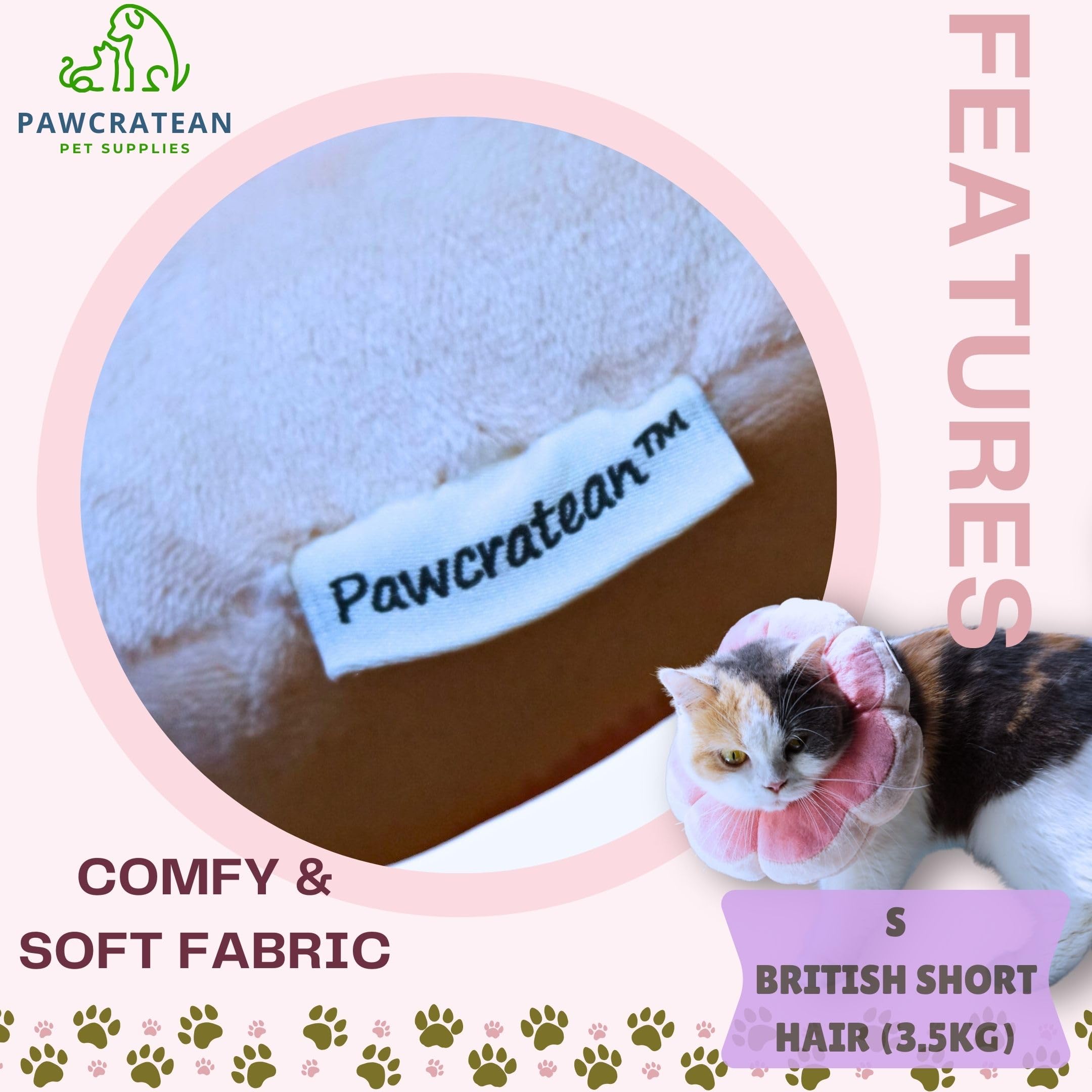 Pawcratean flower recovery collar worn by a puppy.