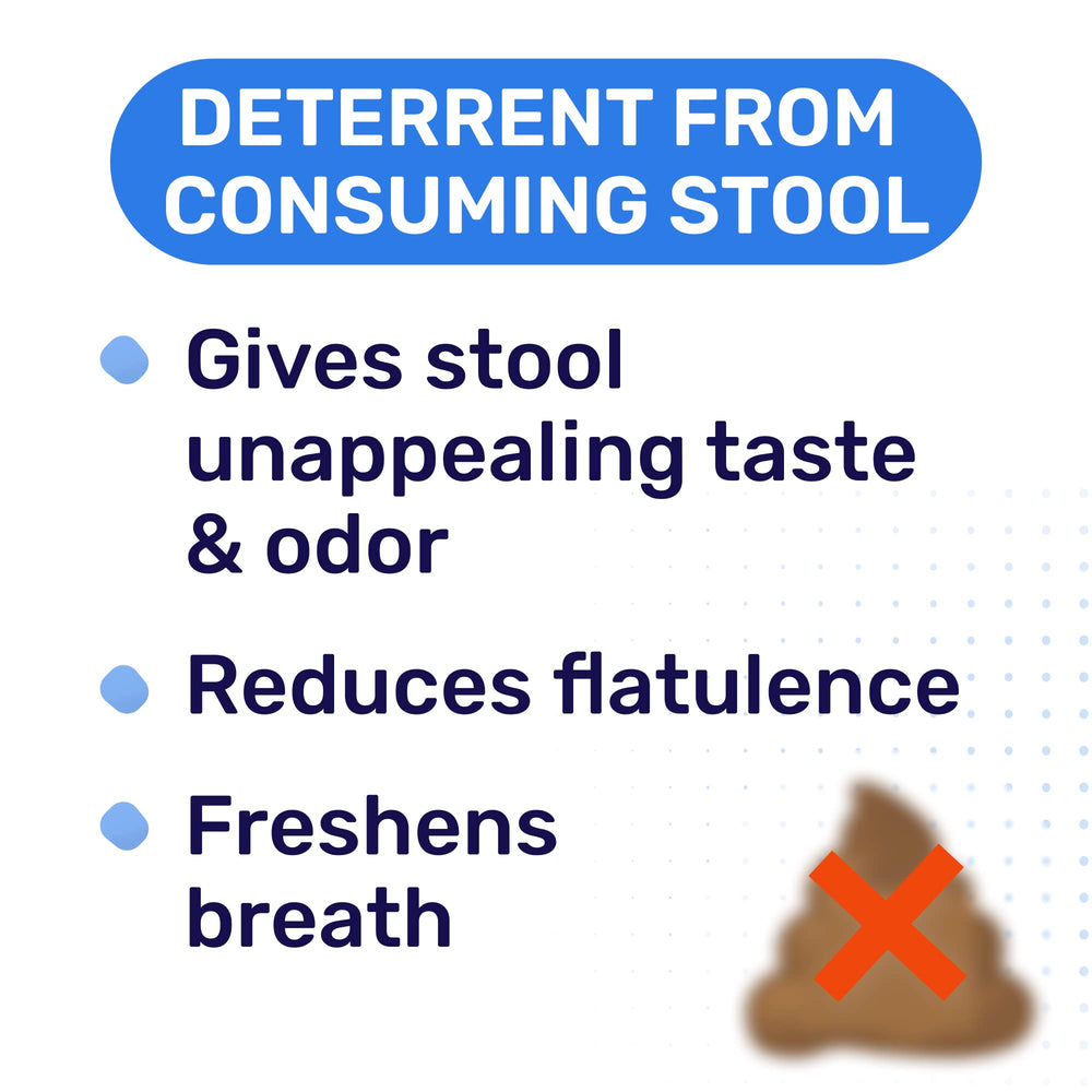 PAWFECTCHEW dog stool-eating deterrent presented in chew format.