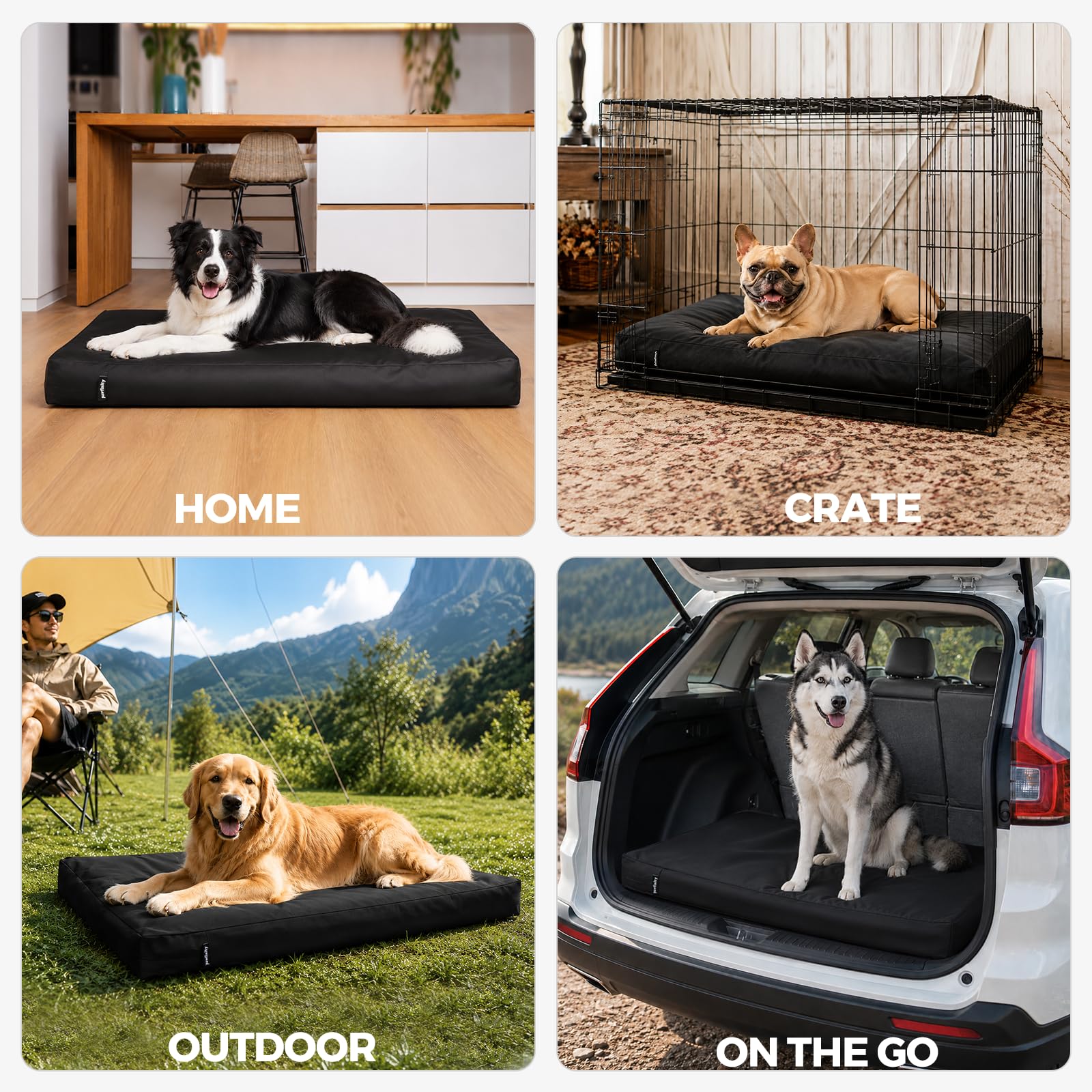 PAWFINITY dog bed cover arranged as a temporary bed for a dog.