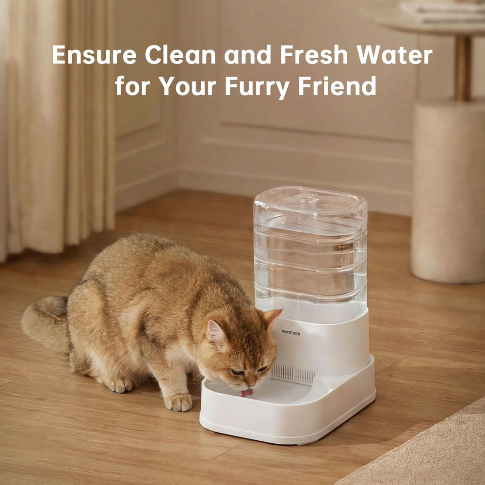 PAWGETHER filter shown during replacement in the compatible dispenser.
