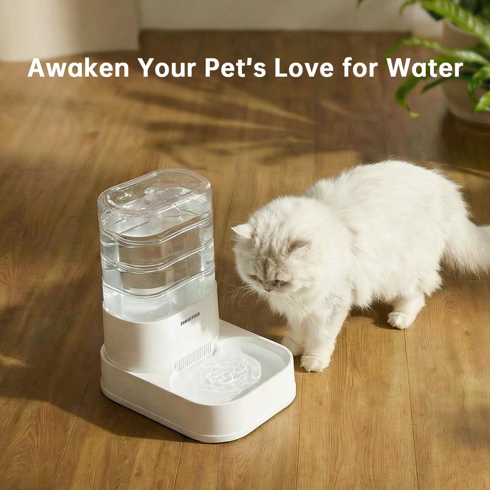 PAWGETHER filters shown stacked to display their shape.