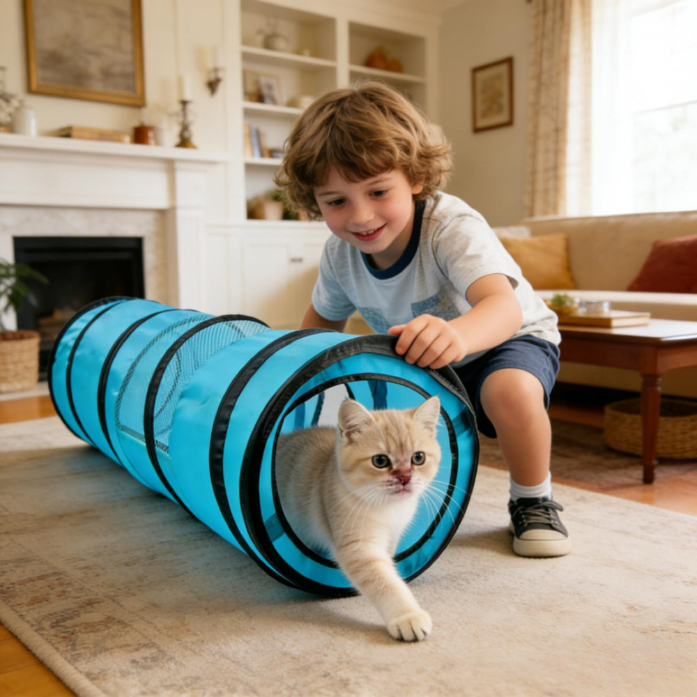 PAWISE cat tunnel in use as a cat explores and plays inside.