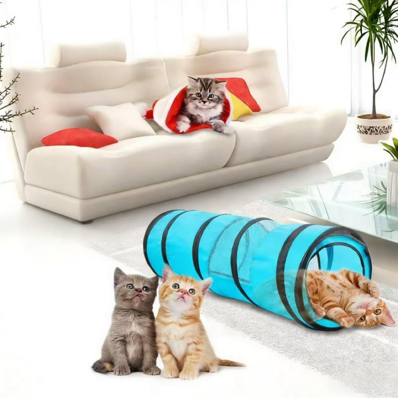 PAWISE cat tunnel shown as an exploration space for a rabbit.