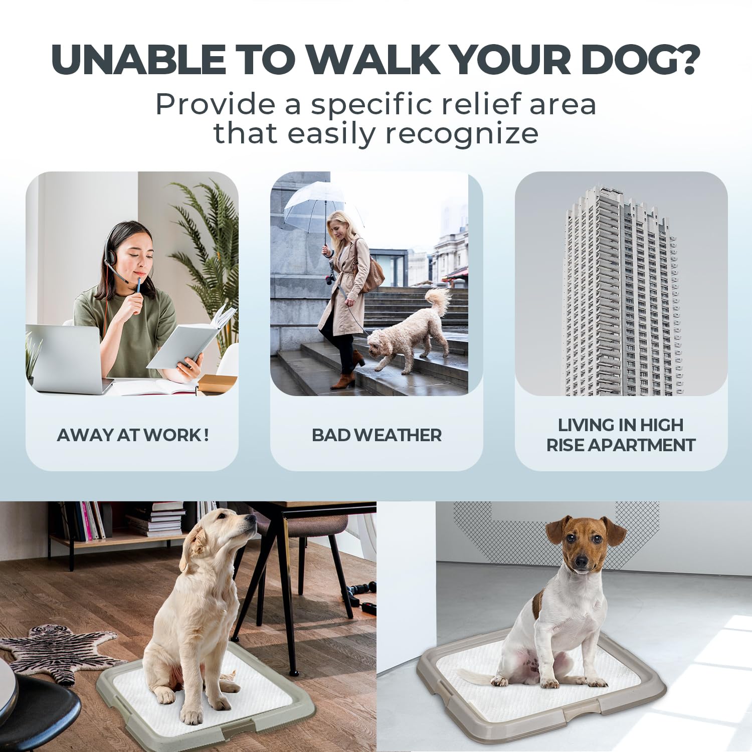 PAWISE dog pee pad holder tray shown from a side angle.