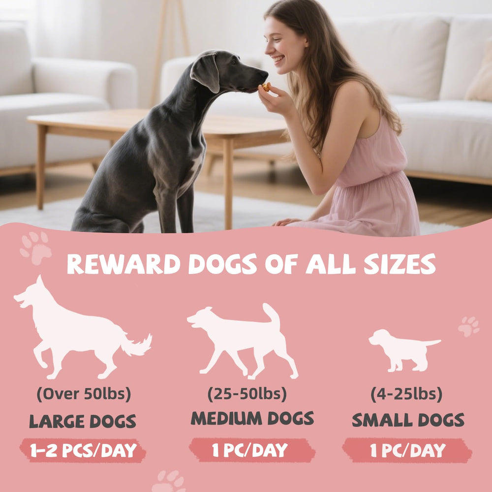 Pawmate Dog Treat Twists shown as a reward during dog training.