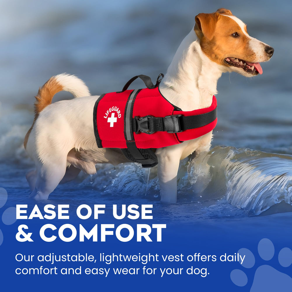 Paws Aboard dog life jacket shown in use during a water activity.