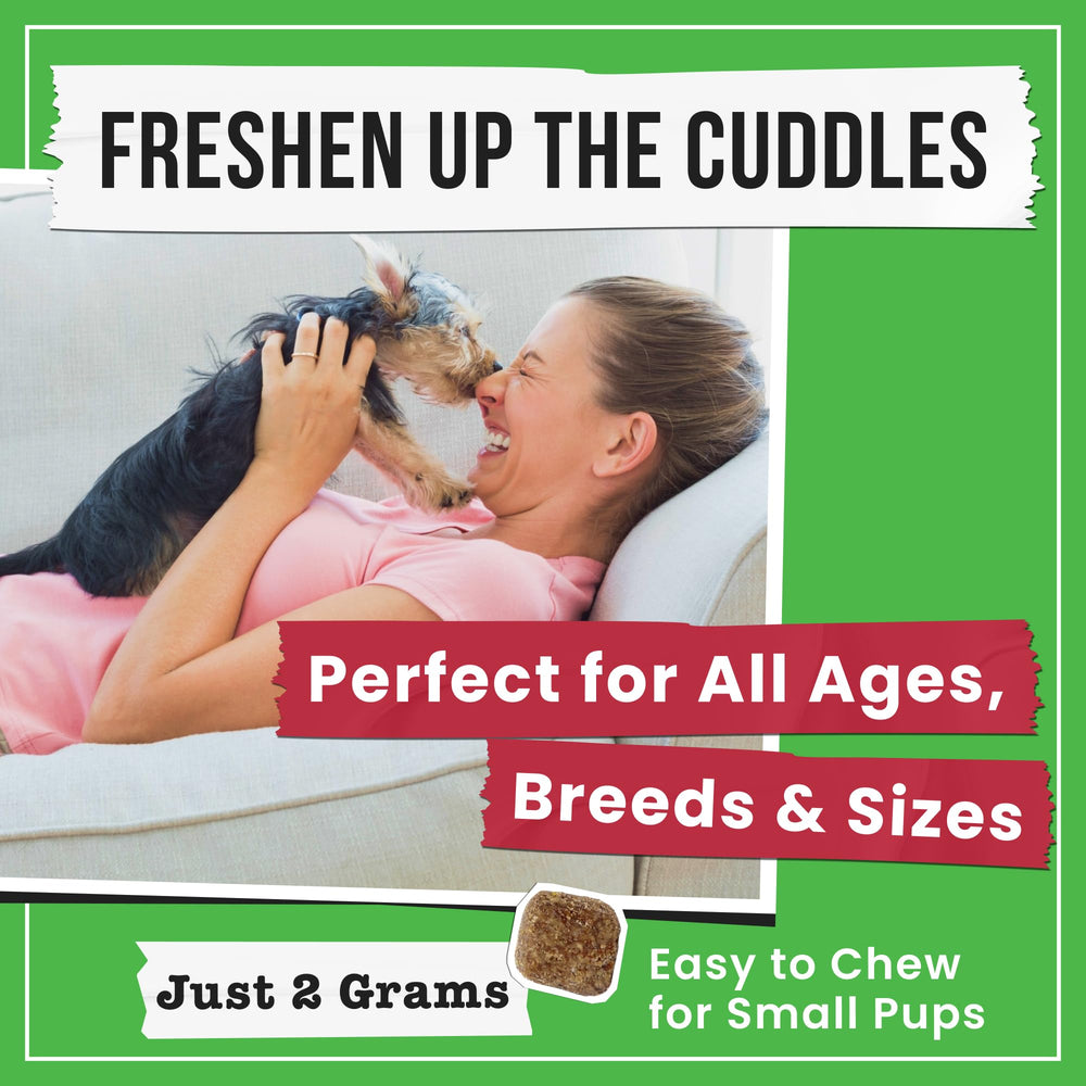 Pawsential No Poo Chews shown as part of a dog's daily routine.
