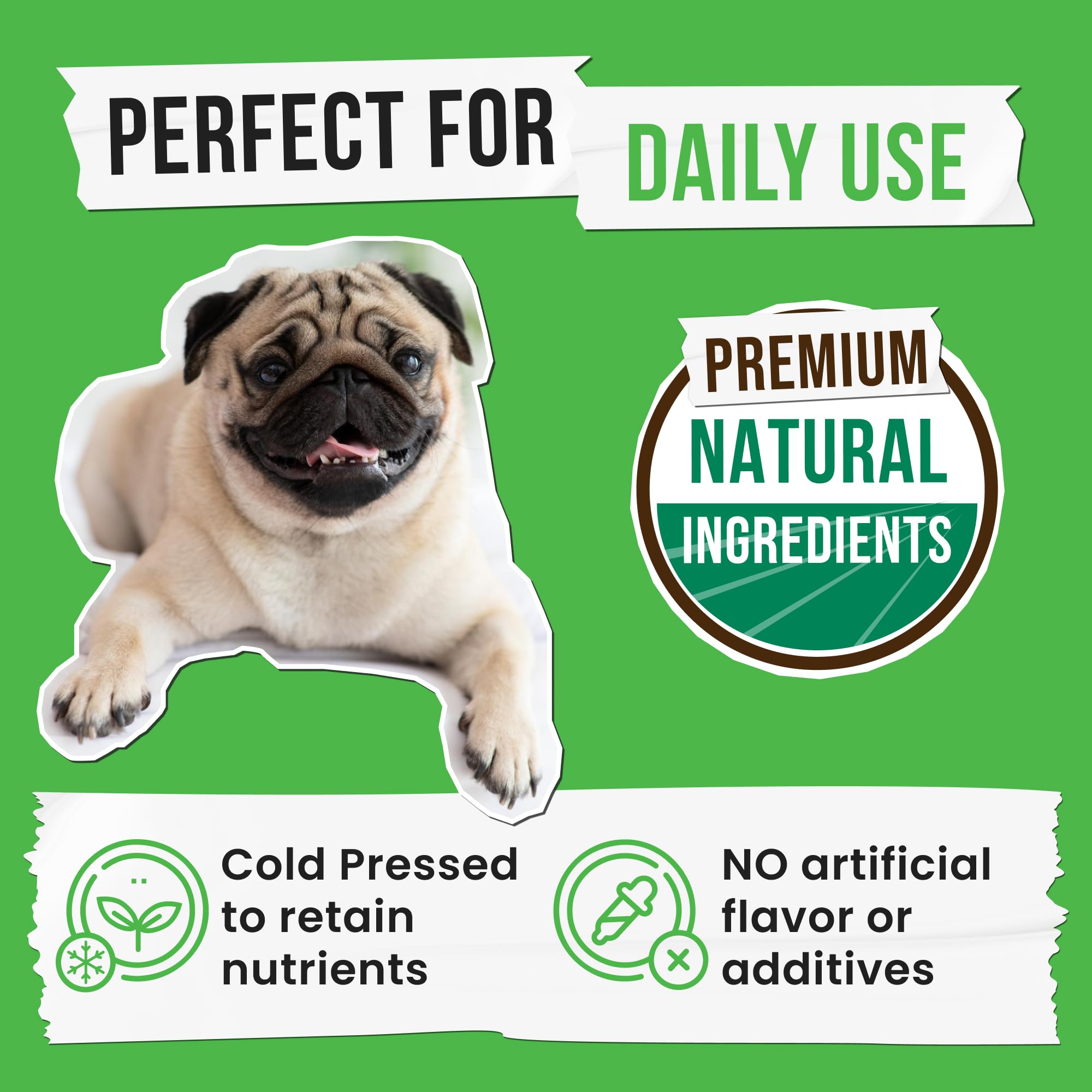 Pawsential No Poo Chews being offered to a dog.