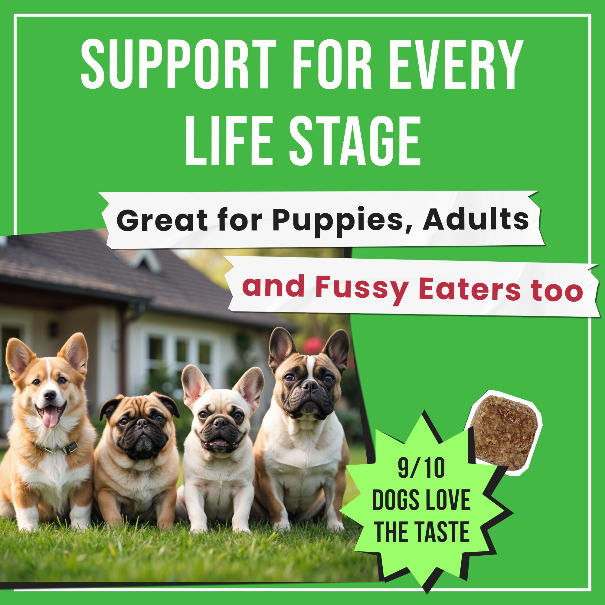 Pawsential No Poo Chews highlighted for USA production and quality testing.