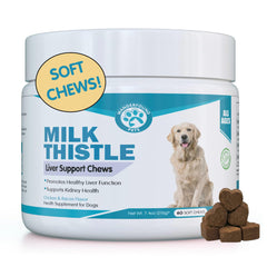 Pawsitive Milk Thistle for Dogs product and packaging shown from the front.