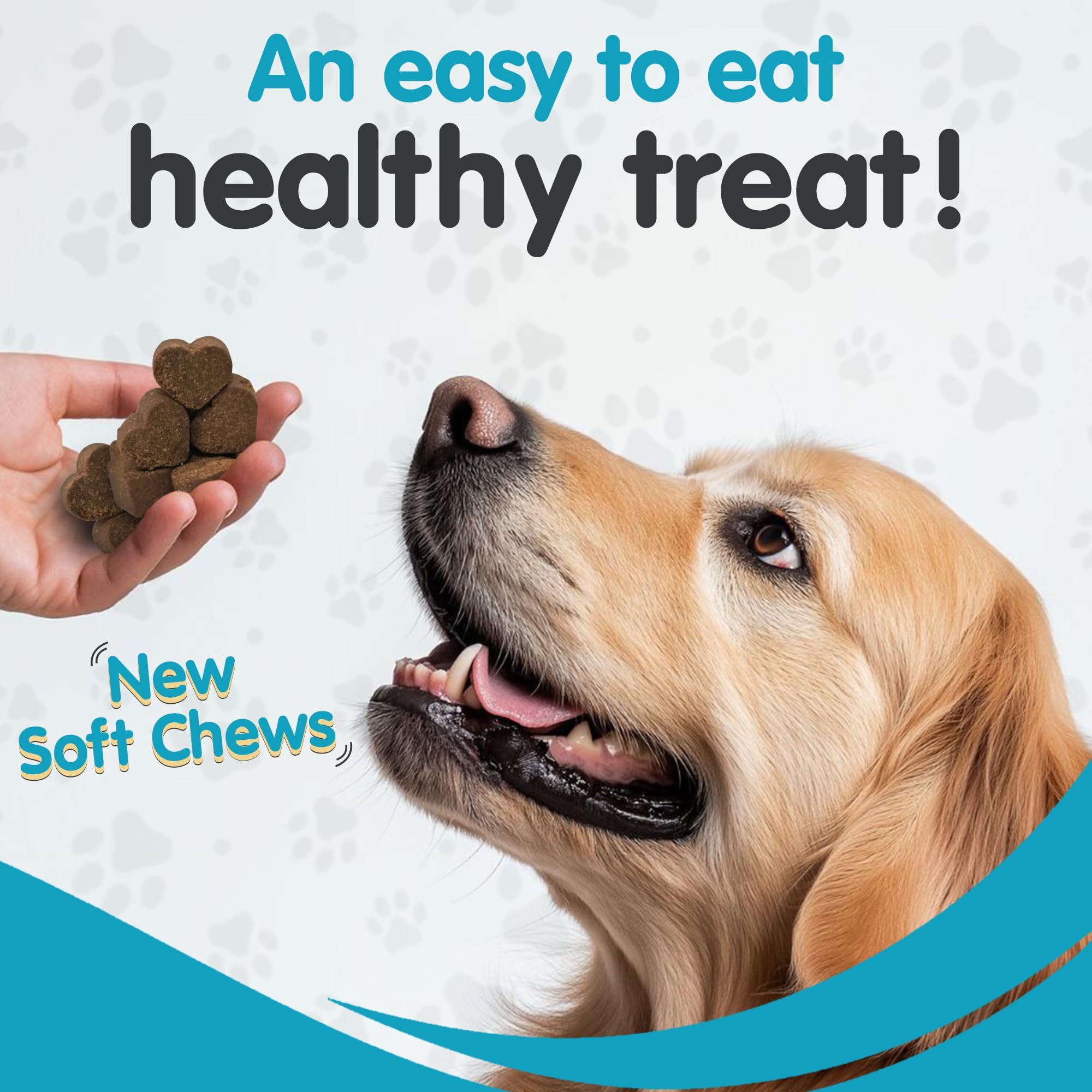 Pawsitive Milk Thistle for Dogs ingredient information shown on the label.