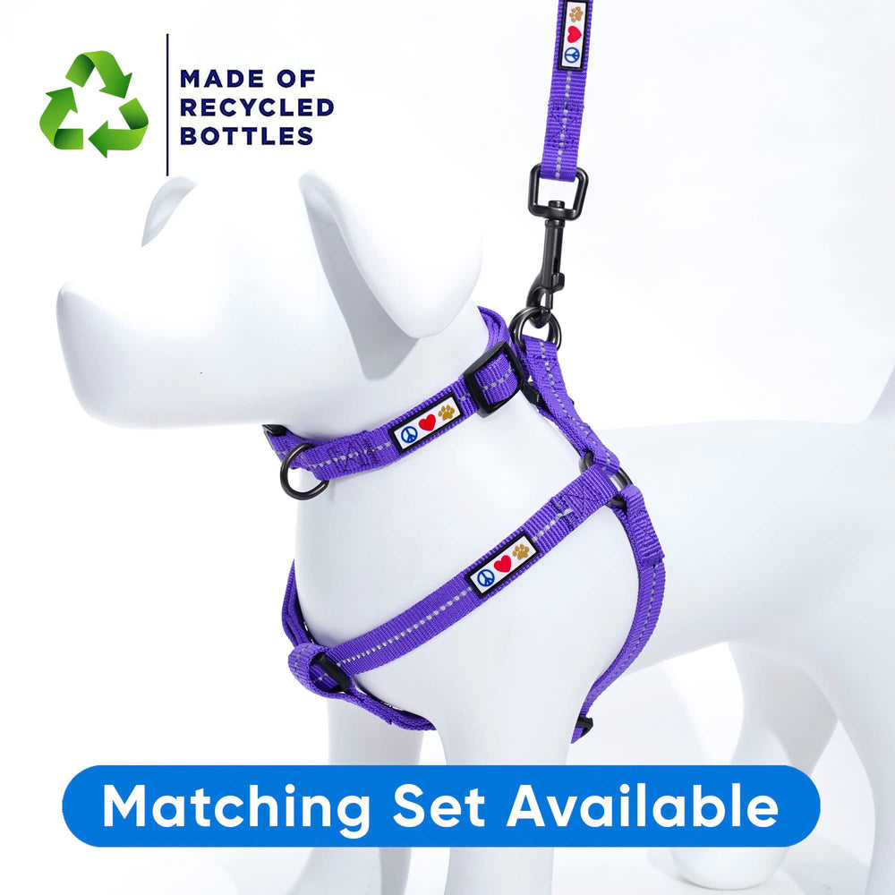 Pawtitas dog harness showing its adjustable fit.