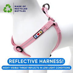 Pawtitas dog harness showing its adjustable design.