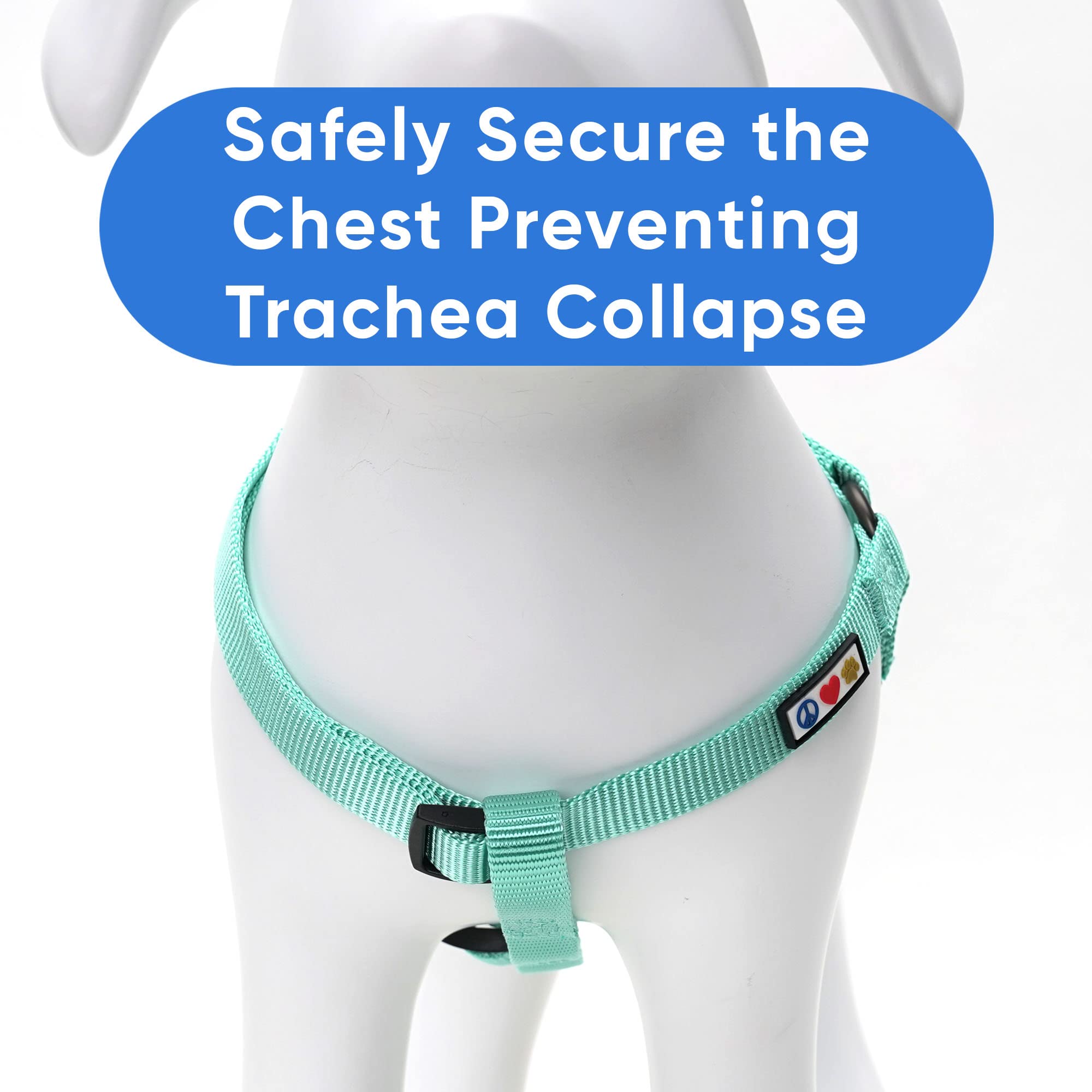 Pawtitas Solid Step-in Dog Harness with its adjustable fit detail.