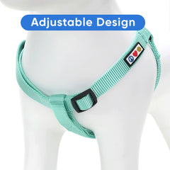 Pawtitas Solid Step-in Dog Harness shown worn by a dog.