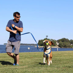 Pawtitas dog harness made from recycled bottles collected from the ocean.