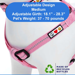 Pawtitas dog harness with a close view of its reflective detail.