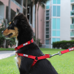 Pawtitas Solid Step-in Dog Harness shown from a side angle.