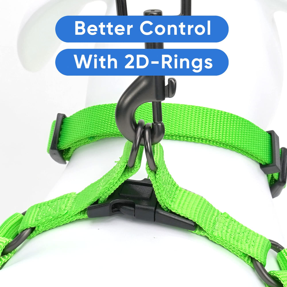 Pawtitas step-in dog harness in green.