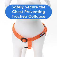 Pawtitas Medium Dog Harness buckle closure shown in close-up.