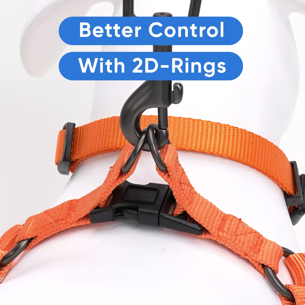 Pawtitas Medium Dog Harness showing its rip-stop nylon construction.