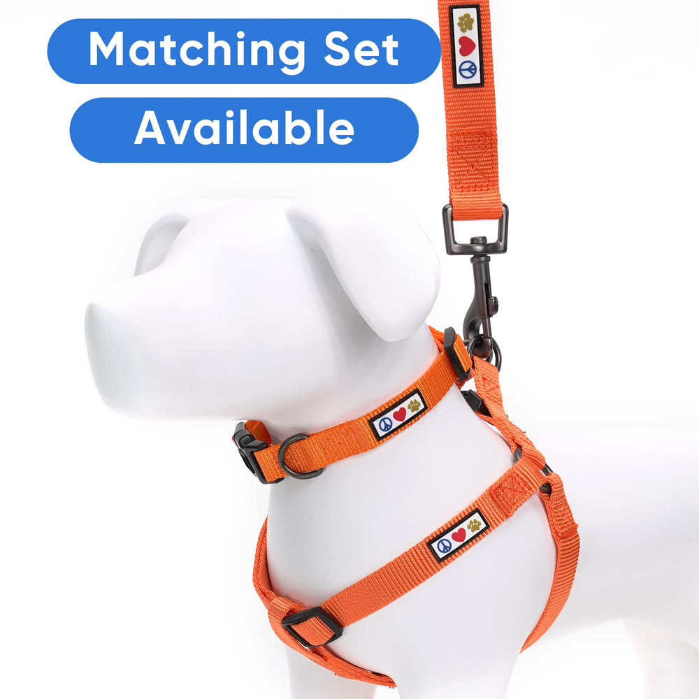 Pawtitas Medium Dog Harness worn by a dog for a walk.