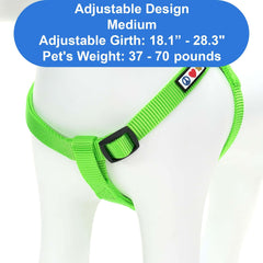 Pawtitas step-in dog harness shown from the back.