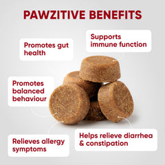 Pawzitive Pets dog probiotic chews highlighting the probiotic formula.