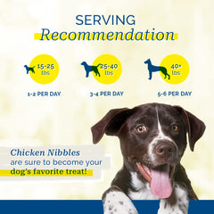 PCI Chicken Nibbles dog treats shown to highlight their dehydrated texture.