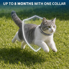 PDKIVFI cat flea and tick collar four-pack shown together.