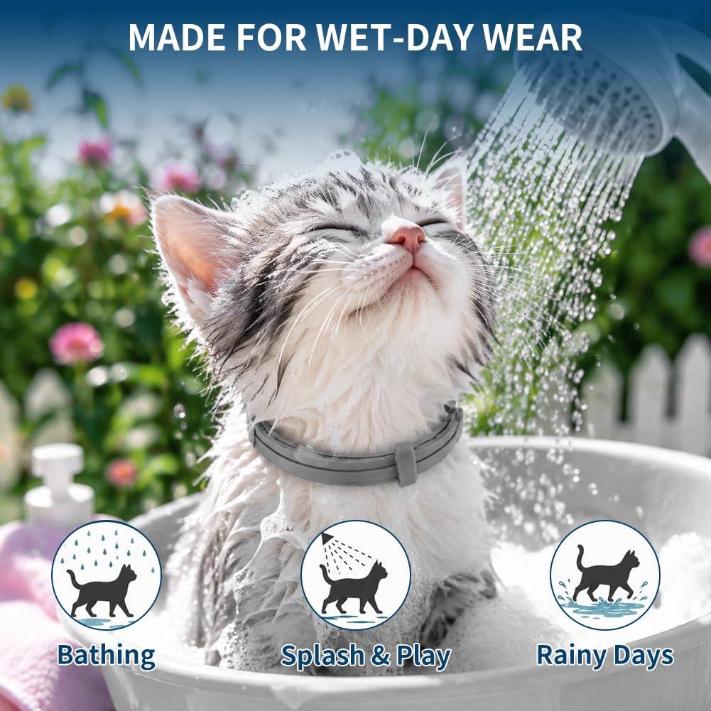 PDKIVFI cat flea and tick collar shown during indoor wear.