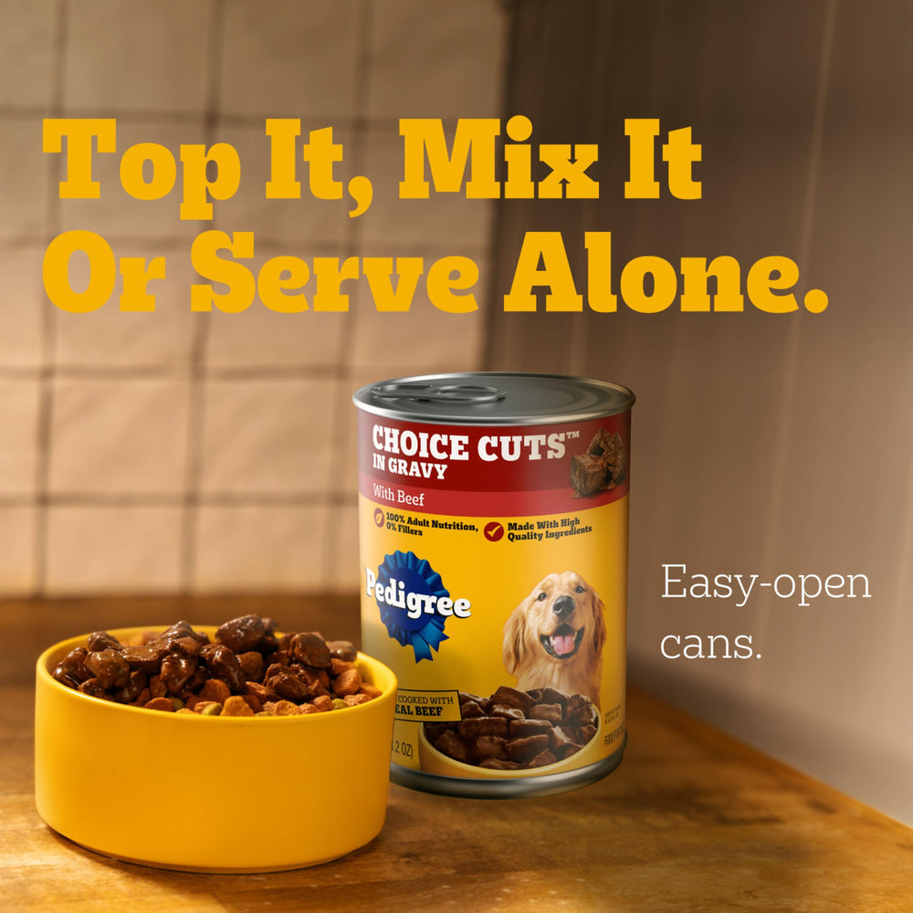 Pedigree Chopped Ground Dinner wet dog food shown mixed with dry dog food.