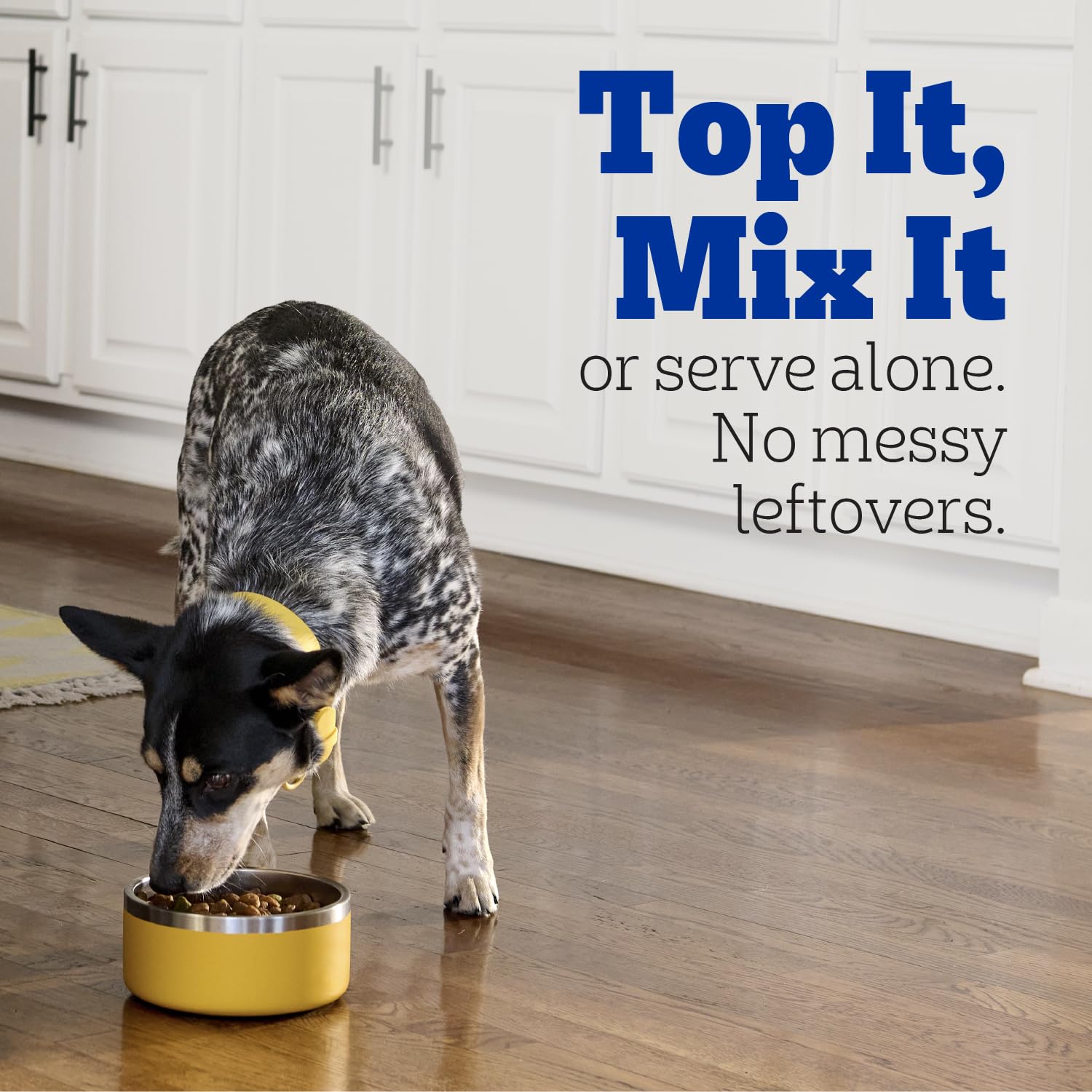 Pedigree wet dog food served by itself as a meal for an adult dog.