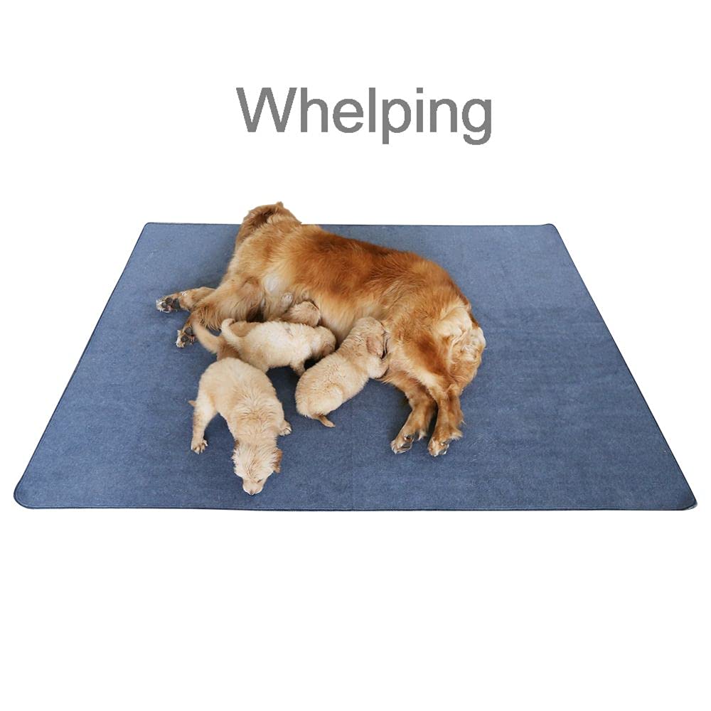 Peepeego washable dog pad highlighting its absorbent surface.