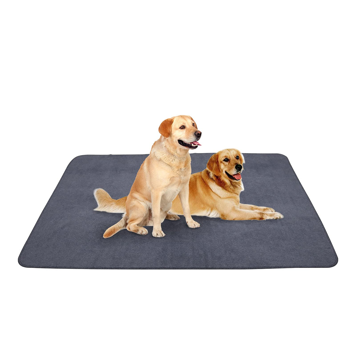 Peepeego washable dog pad shown in a full front view.