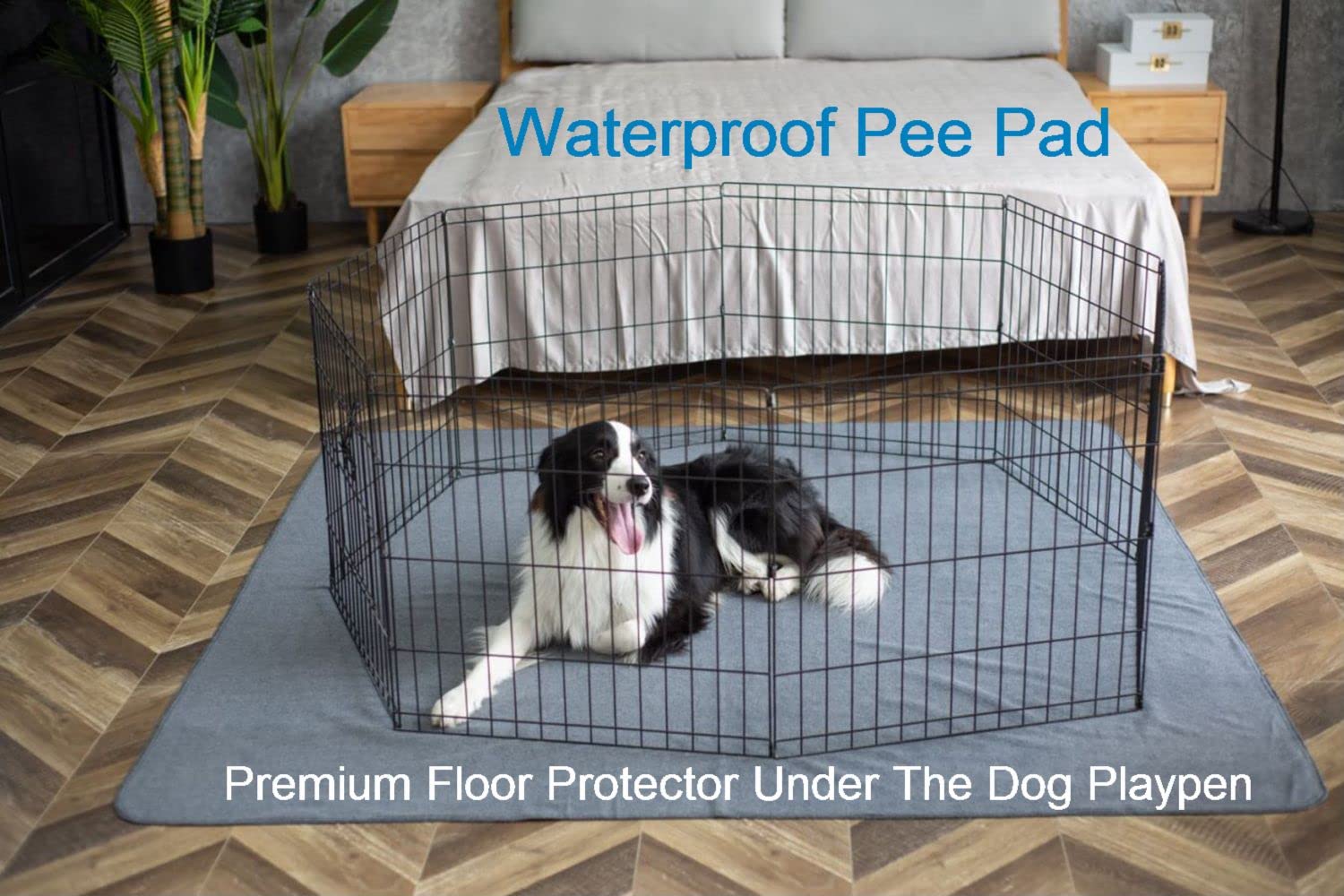 Peepeego dog pad arranged for use in a whelping area.