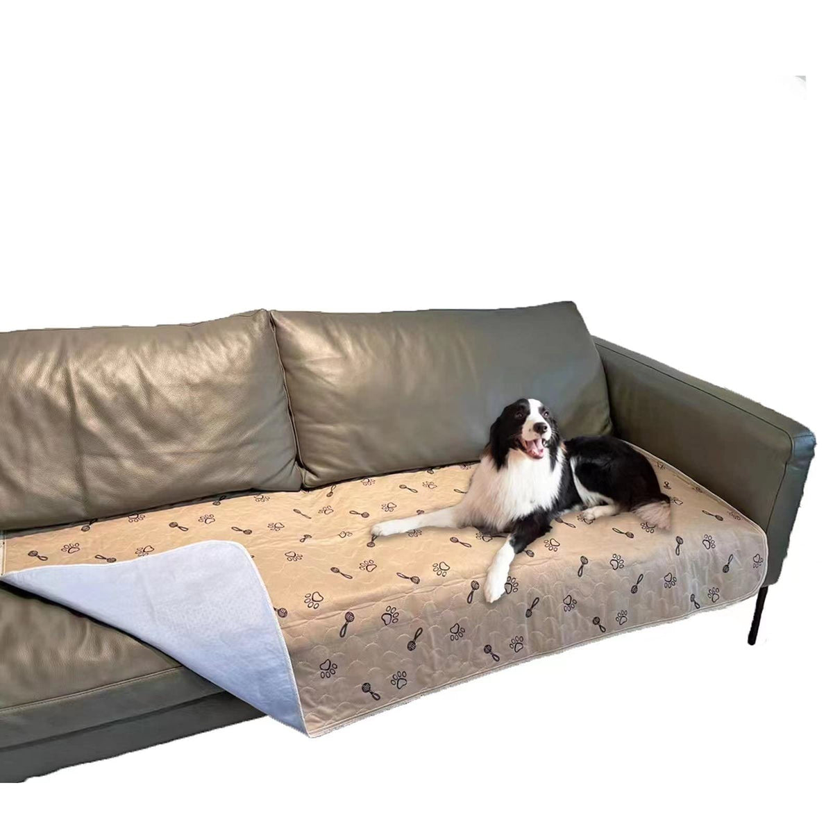 Peepeego washable dog pee pad shown in a full product view.