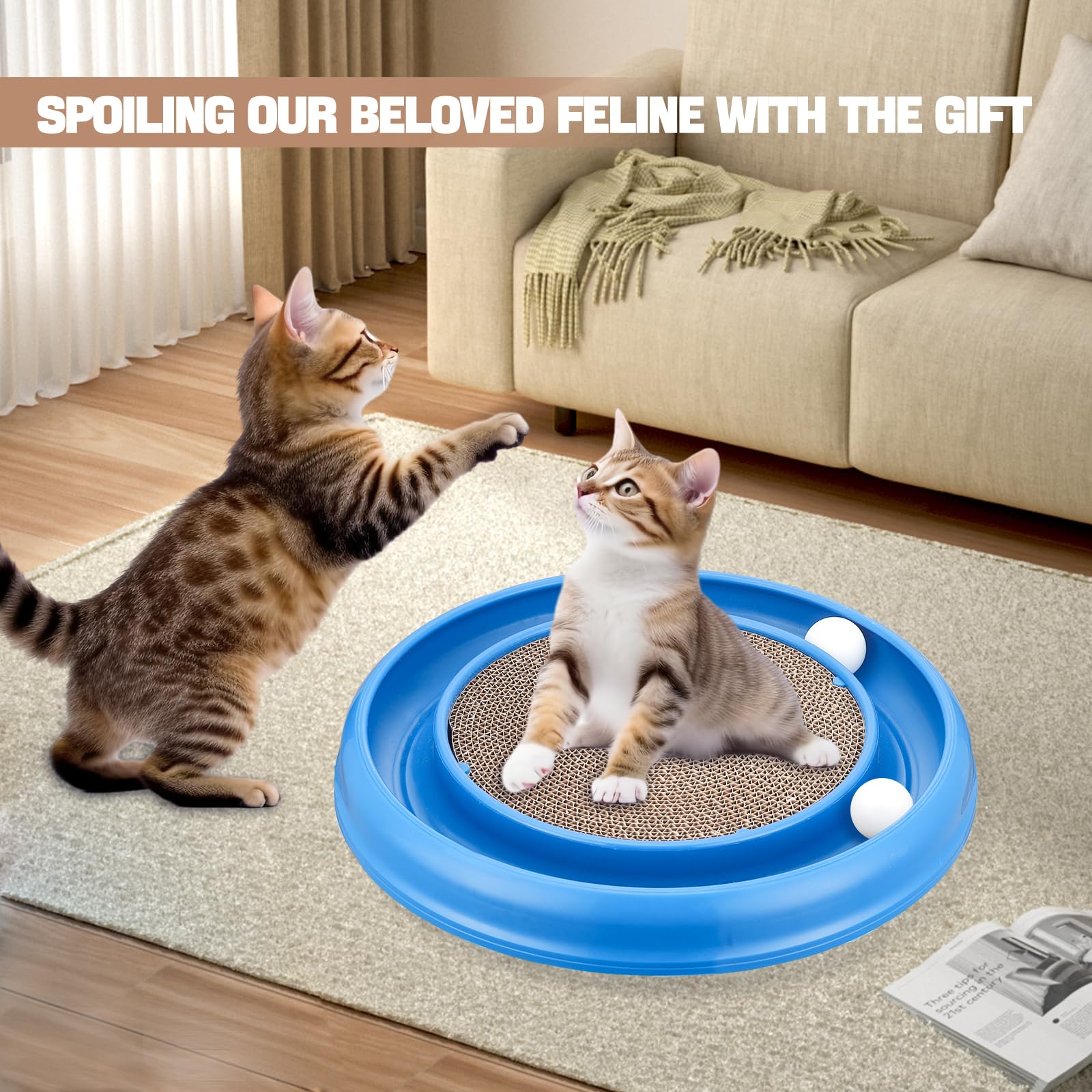 Peomliee cat scratching board in use as an indoor cat plays with the track.