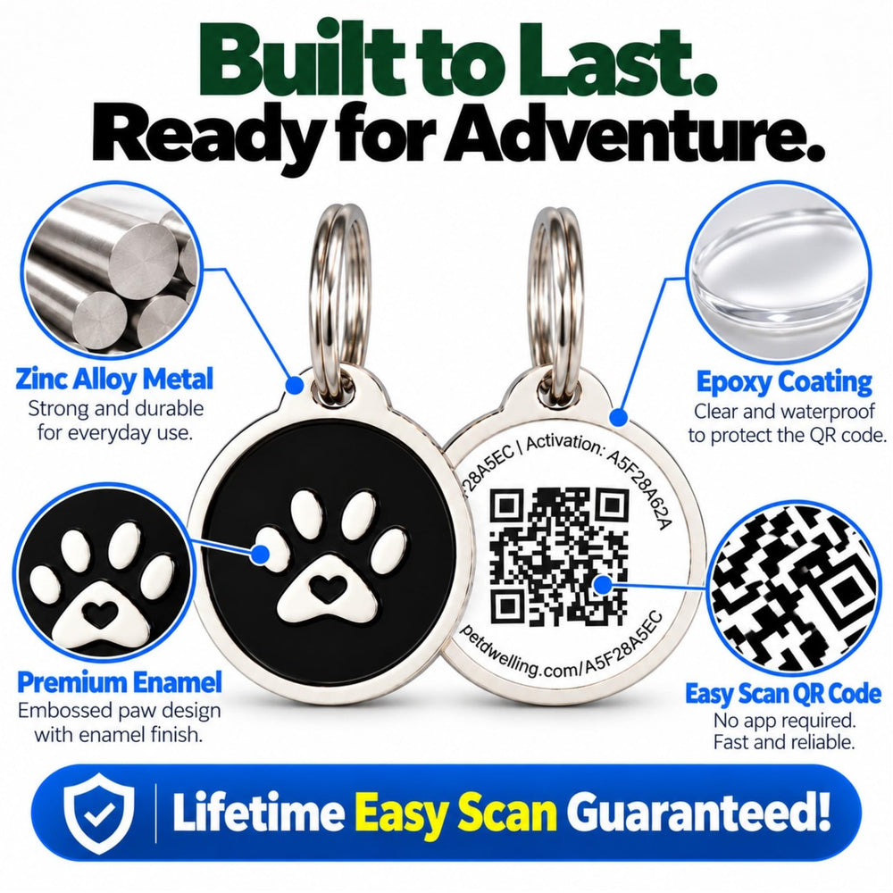 Pet Dwelling QR pet ID tag with its epoxy-coated code in focus.
