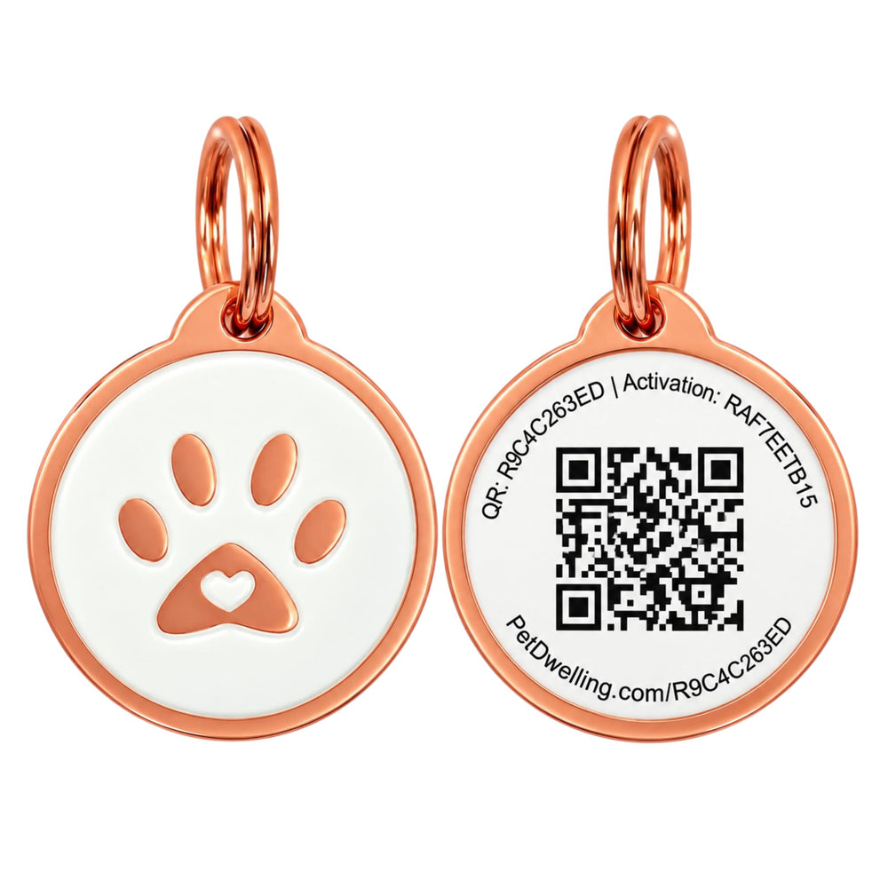 Pet Dwelling QR pet ID tag shown from the front.