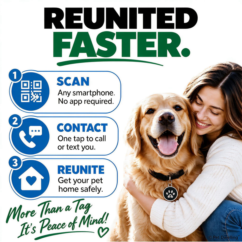Pet Dwelling QR pet ID tag scan alert shown as an email notification.