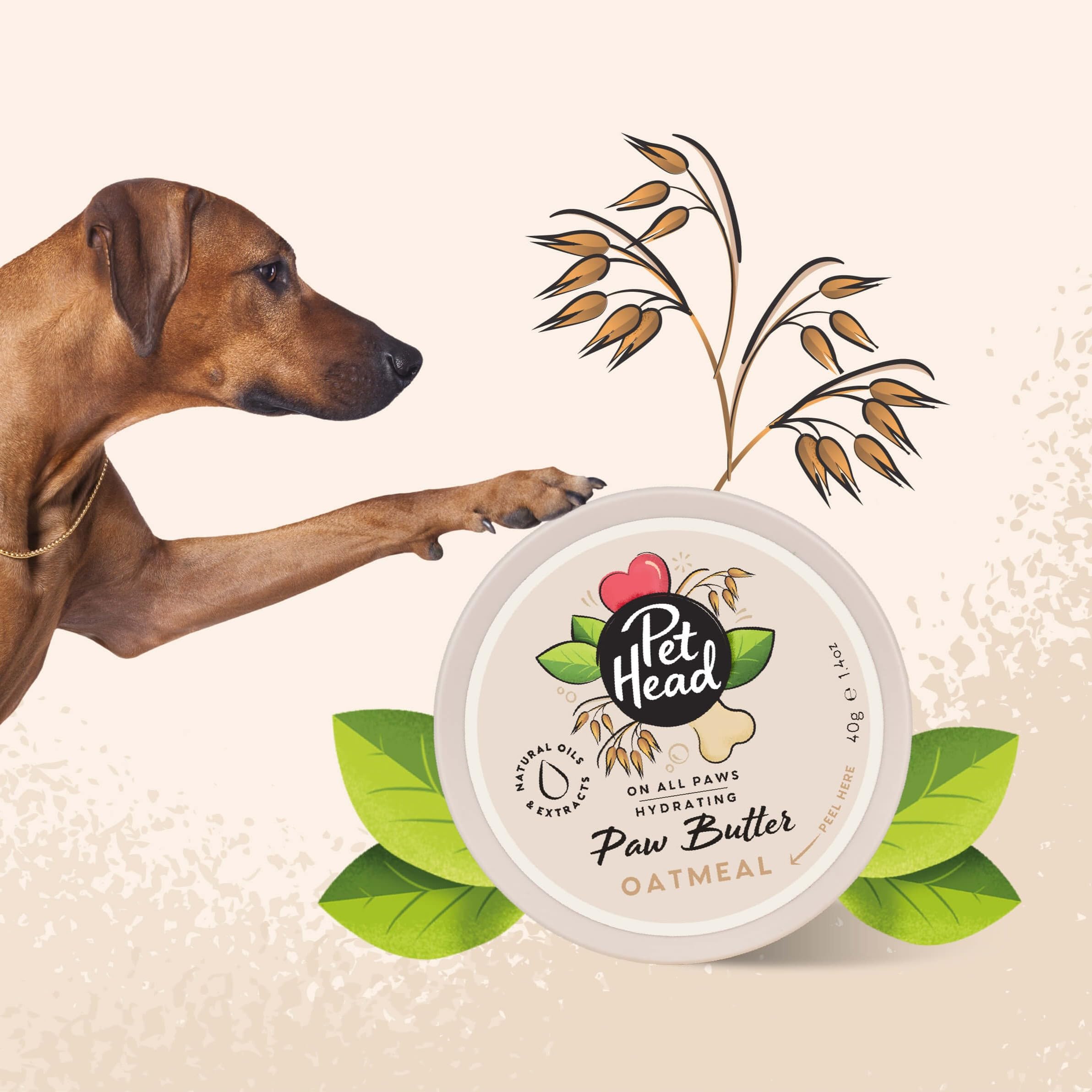Pet Head Oatmeal Paw Butter being massaged onto a dog's paw.