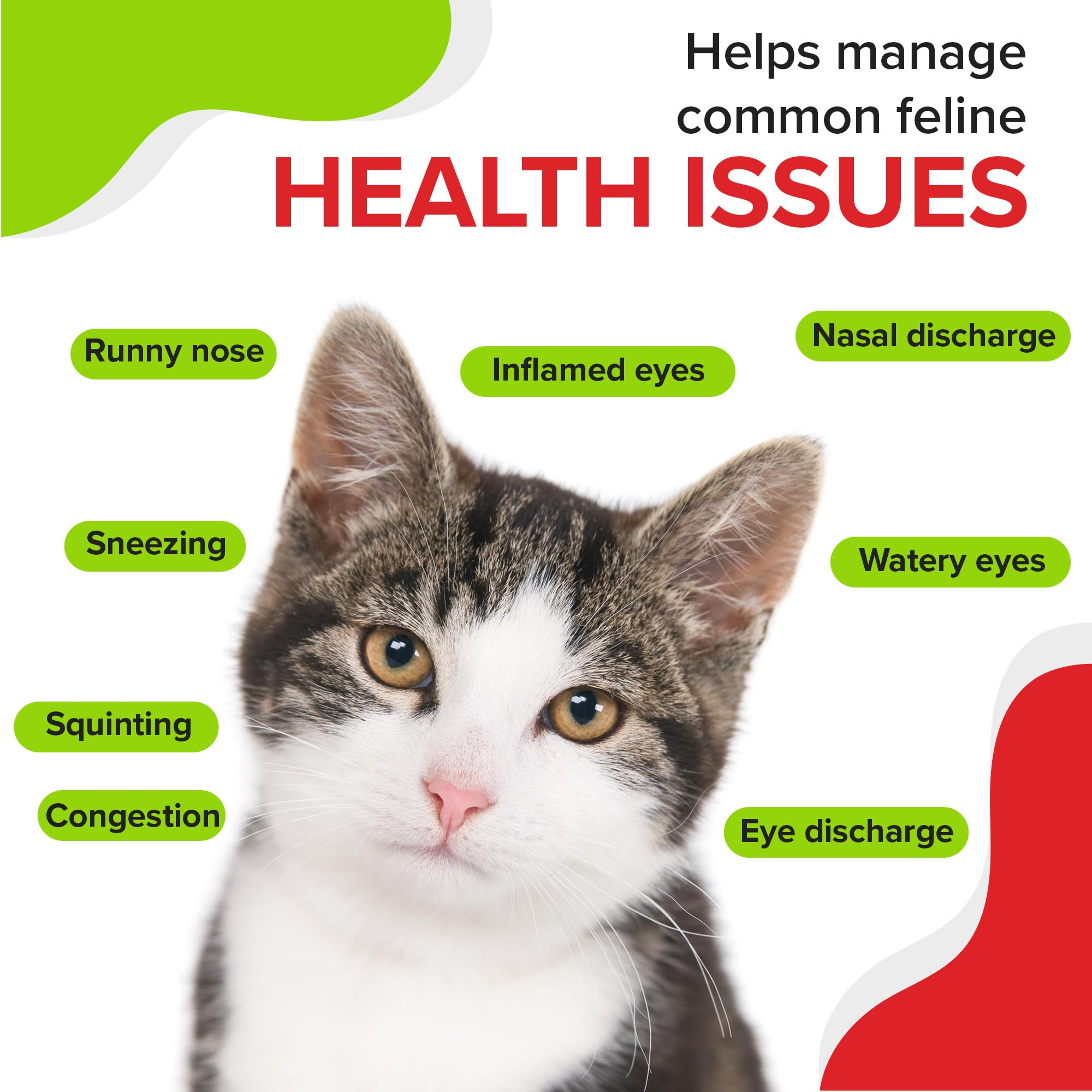 Pet Health Pharma L-Lysine gel supplement shown in a kitten-use context.