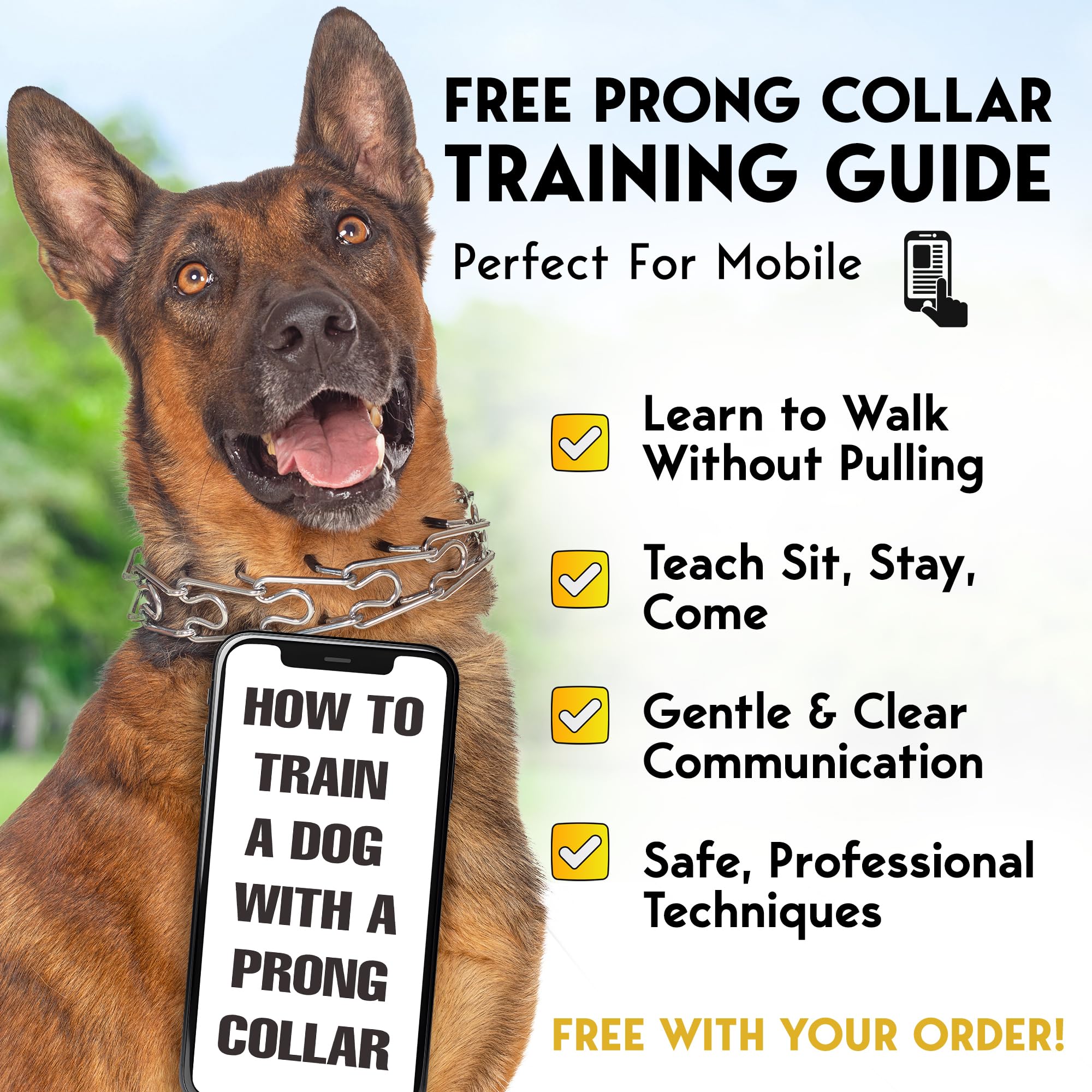PET JETT prong collar worn by a dog during a leash walk.