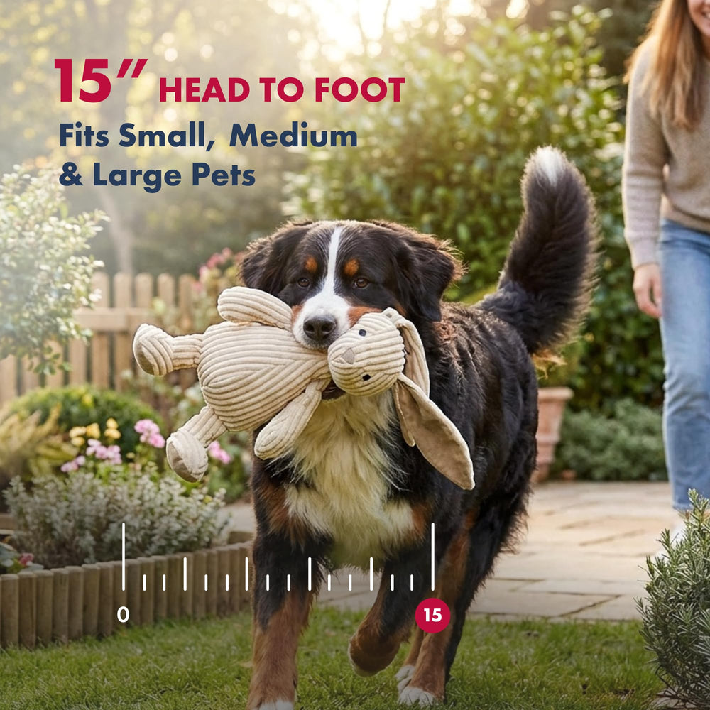 Pet Lou corduroy rabbit dog and cat toy shown during pet play.