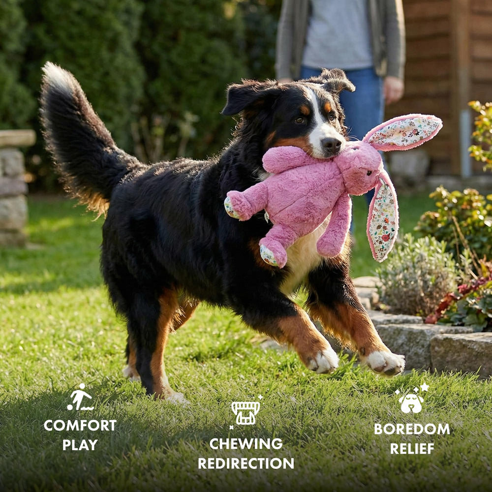 Pet Lou rabbit plush dog toy detail showing the body and feet.