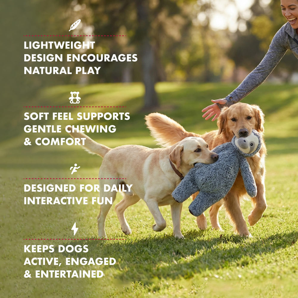 Pet Lou stuffingless floppy sloth dog toy highlighting its squeaker feature.