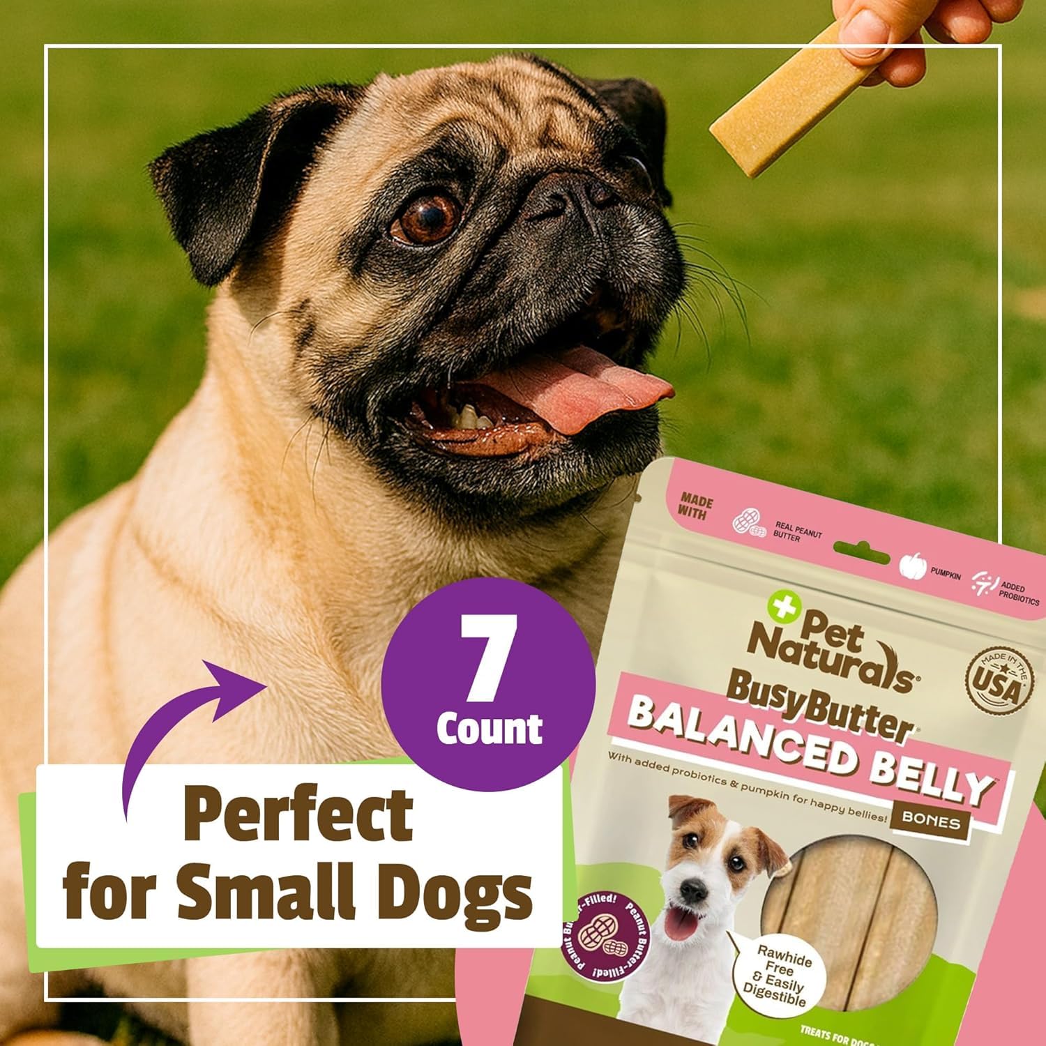 The 22-count pack of Pet Naturals BusyButter Balanced Belly Dog Bones.