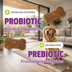 Pet Naturals Daily Probiotic soft chew shown as a duck-flavored dog supplement.
